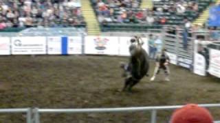 preview picture of video 'Best of bull riding at the Encana Center'