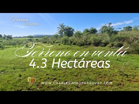 Paraguay - La Colmena Terreno en venta 4.3 ha con Manantial