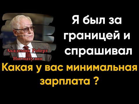 Академик Роберт Нигматулин