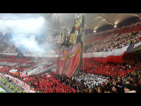 pch.caini rosii ale ale.dinamo steaua 1-1.cupa romaniei 2014