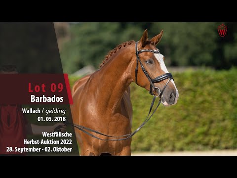 Herbst-Auktion Lot 09 Barbados Wallach v. Benicio - Fidermark