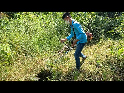 Fast Cut With Tanaka 2 stroke Trimmer / Cut Shorts and Long Grass with Circle Blade