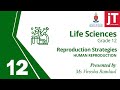 6a Gr 12 Life Sciences Human Reproduction Reproduction Strategies