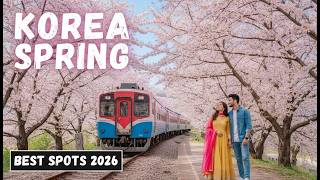 Top 10 Best Cherry Blossom Spots in South Korea | Spring Travel Guide 2026