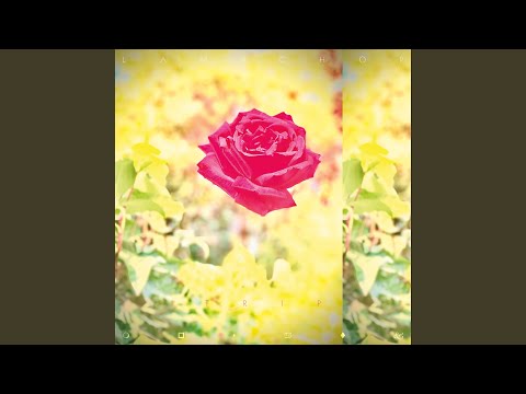Video thumbnail for Love Is Here and Now You’re Gone