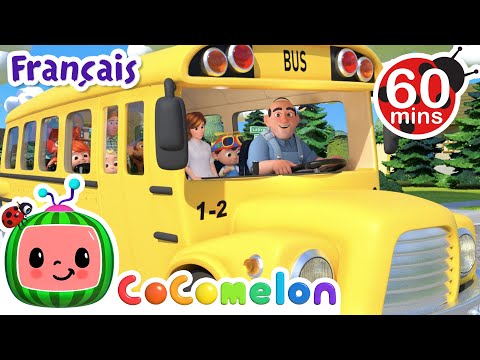 Les roues de l'autobus | CoComelon - L'Heure de Cody | Chansons pour bébés