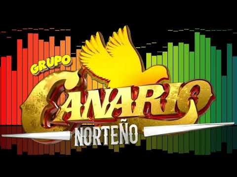 Conjunto Canario en La 20 De Noviembre Villa Hidalgo SLP 05
