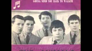 THE ANIMALS (U.K) - Gonna Send  You Back To Walker
