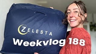 RESET & CLEAN WITH ME, ZELESTA WASBAAR DEKBED TESTEN & ZIEK GEWORDEN | #188 Zeg Maar Mich