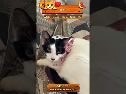 Vídeo de John