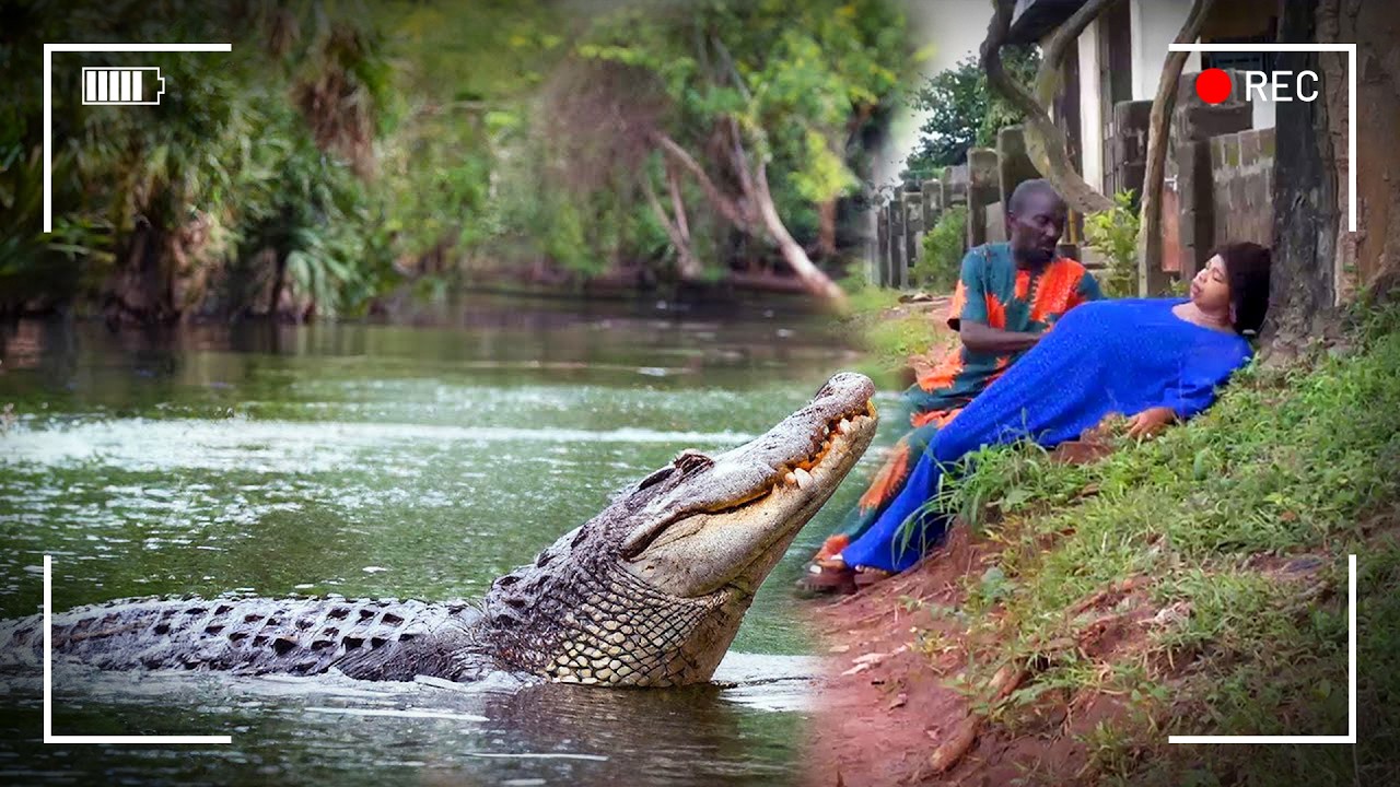 هذا ما يحدث حين يحاول البشر العبث مع الحيوانات البرية