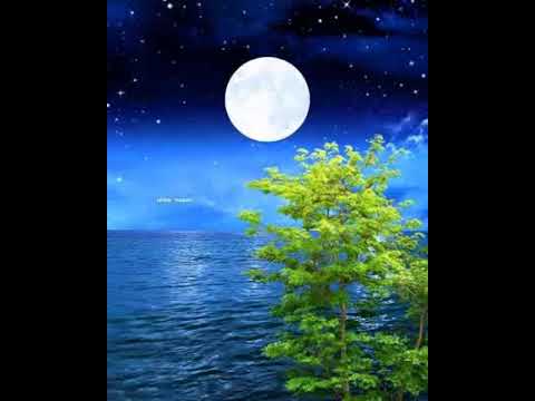 Atenama ni bong by Tekeang ni Makin