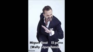 Miguel Bosé - El perro - Remix Wally López