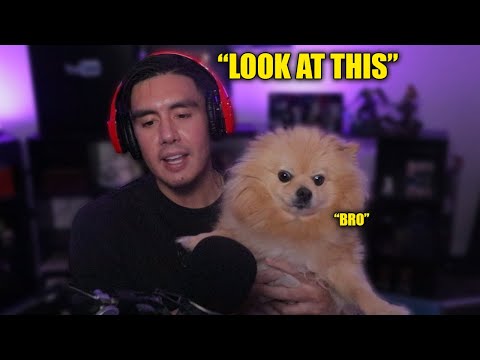 When The Game Is So Ridiculous You Have To Show SOMEBODY (Free Random Games)