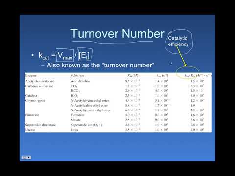 Enzyme Kinetics - kcat and catalytic efficiency