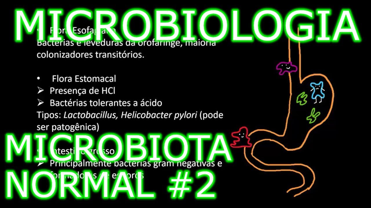 Aula: Microbiologia Médica #3 - Microbiota Normal #2