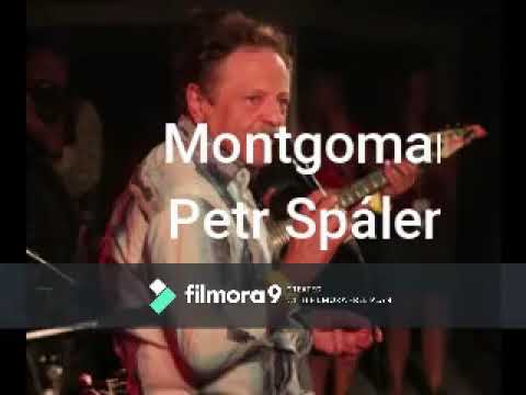 Montgomery - Petr Spálený