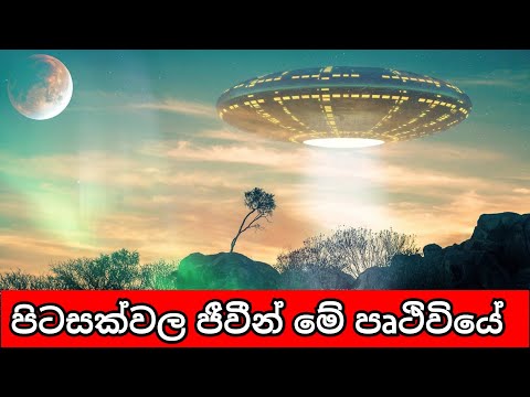 පිටසක්වල ජීවීන් කියන්නෙ අපිම තමයි | Aliens are us | How to black aliens