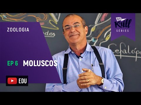 MOLUSCOS (Zoologia - EP6) I Biokrill Séries