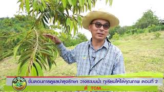 ขั้นตอนการดูแล&บำรุง&รักษา วางระบบน้ำ #ทุเรียนทองผาภูมิ #การดูแลทุเรียน #ระบบน้ำทุเรียน