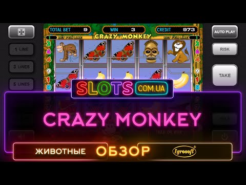 Crazy Monkey 2
