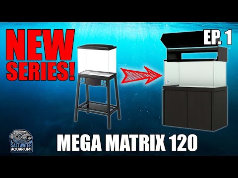 Budget Reef Upgrade -Tank Planet 120 Gallon - NEW SERIES!