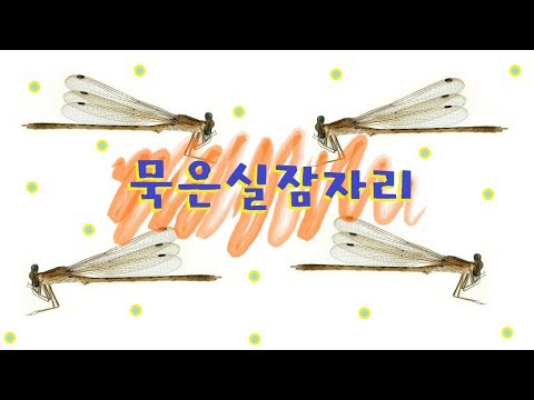 아이콘