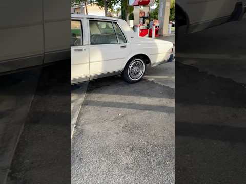 Cammed box Chevy summit k1103 cam and lifters 1983 caprice #boxchevy #chevy #diy