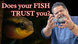 Does Your FISH TRUST You ?? What My Fish Knows That You Don&#39;t