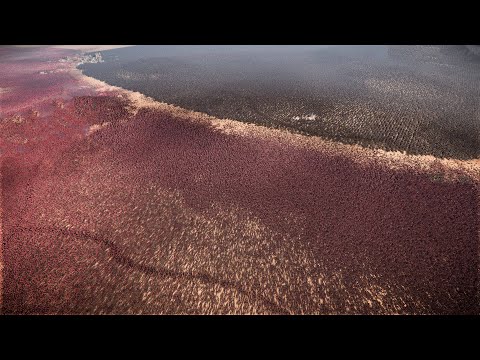 100.000 CATAPULTS vs 3 MILLION ROMANS - Ultimate Epic Battle Simulator 2 UEBS2