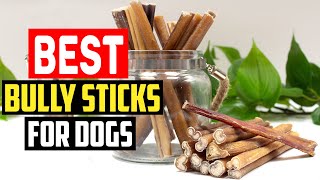 ✅Top 5 Best Bully Sticks for Dogs in 2022