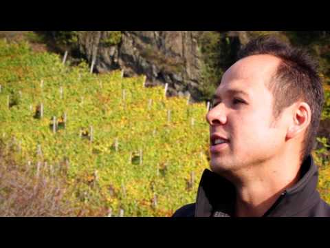 download lagu mp3 mp4 Torsten Klein, download lagu Torsten Klein gratis, unduh video klip Torsten Klein