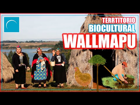 Wallmapu Biocultural Territory