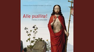 Oto są Baranki młode