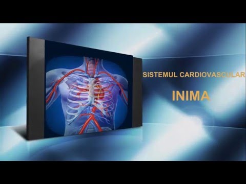 Lecția 26: Inima