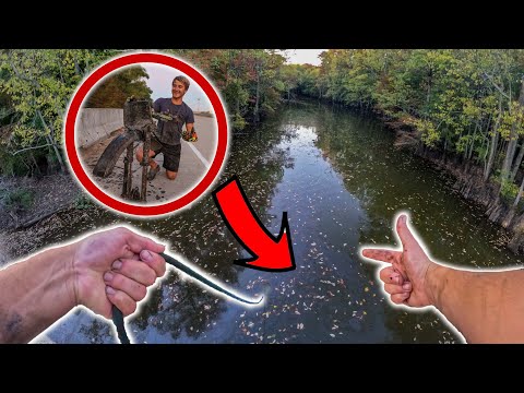 No Way! Stolen Dirt Bike Found Magnet Fishing - Best Day Of Magnet Fishing (Insurance Fraud)