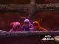 Sesame Street Night Bug Boogie