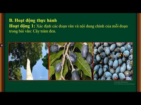 Tiếng Việt 4 Bài 23C Vẻ đẹp tâm hồn Tiết 2