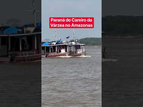 Paraná do Careiro da Várzea no Amazonas