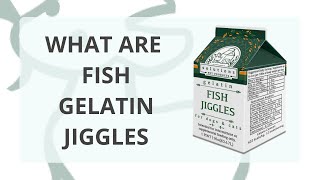 What are Fish Gelatin Jiggles?
