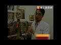 五十肩舉手卡卡　爬牆伸展蛙泳復健
