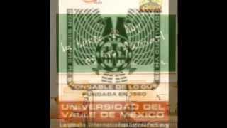 Burns Out Bright-halo