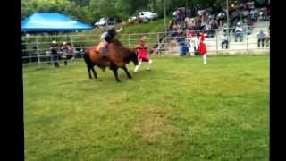 preview picture of video 'Jaripeo San Miguel de Mercedes 03/08/2013'