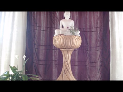 53 Advice to Channa MN144