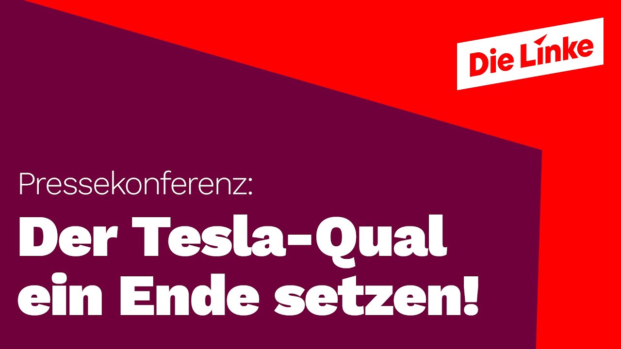 Katina Schuber und Sebastian Walter: Der Tesla-Qual ein Ende setzen!
