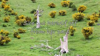 Buffalo Tom - Taillights Fade (with Lyrics)