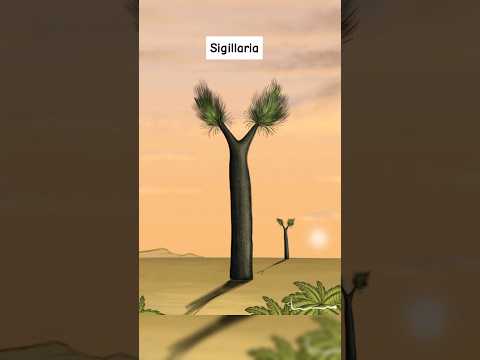 Prehistoric Plants That Are Extinct 🥹 #shorts #viral