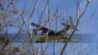 preview picture of video 'Moody Air Force Base | Wednesday 07-30-2014 | Outing to The Base © 2014.wmv'