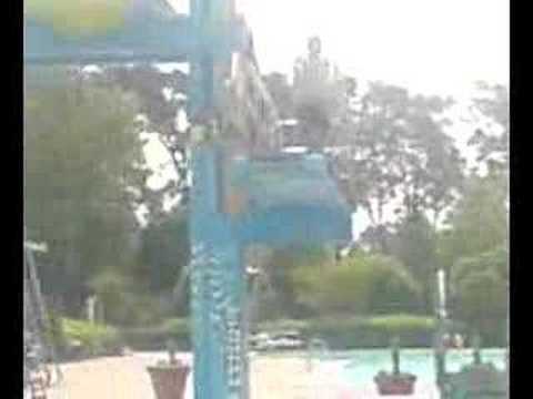 2 Entschen vom 3er + Latscho geschrei