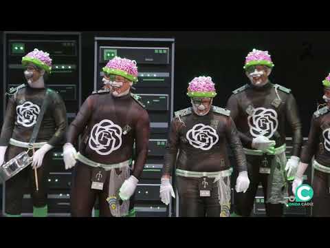 Chirigota, ¡¡ Qué más quiere que te diga !! - Preliminares